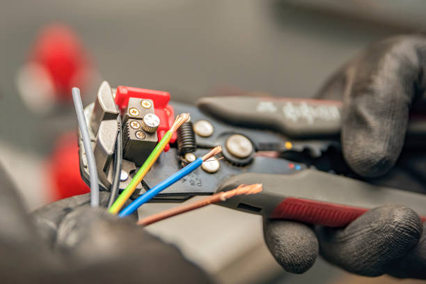 Best Home Electrical Repair  in Annandale, MN