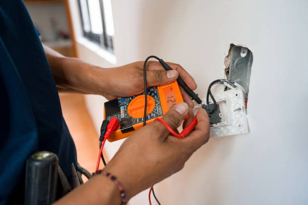 Best Electric Panel Repair  in Annandale, MN