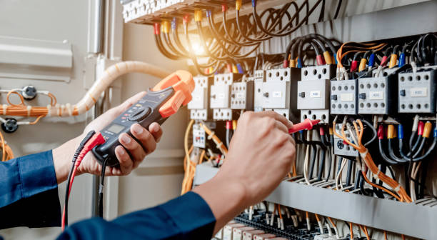 Best Electrical Upgrades for Homes  in Annandale, MN