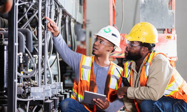 Best Residential Electrician Services  in Annandale, MN